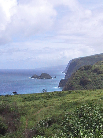 Foto Hawaiis Straßenränder