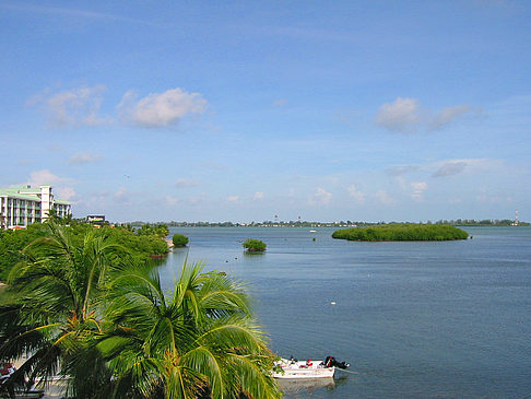 Foto Meer - Key West