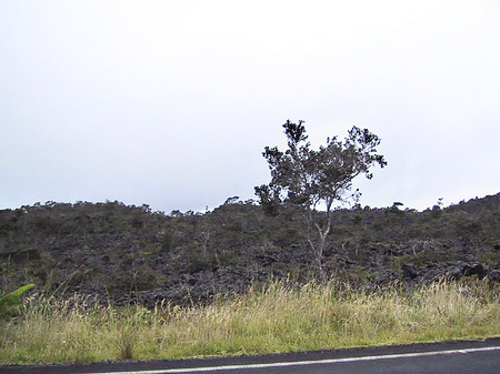 Fotos Hawaiis Straßenränder | 