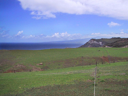 Landschaft auf Maui