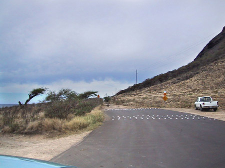 Foto Straßen auf Oahou