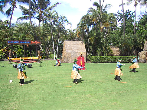 Hula Show Fotos