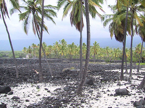 Der Strand von Hawaii