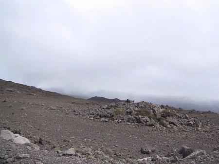 Trockene Landschaft